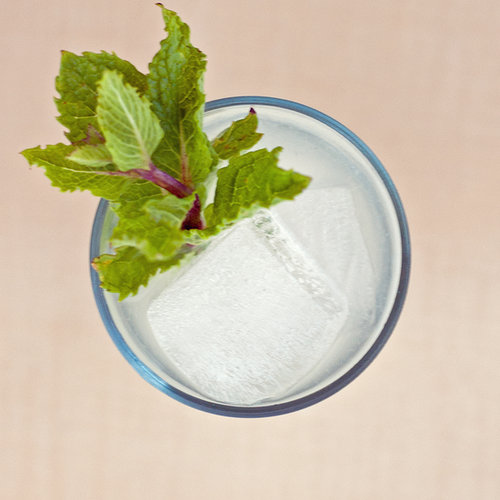 Mojito Mojito