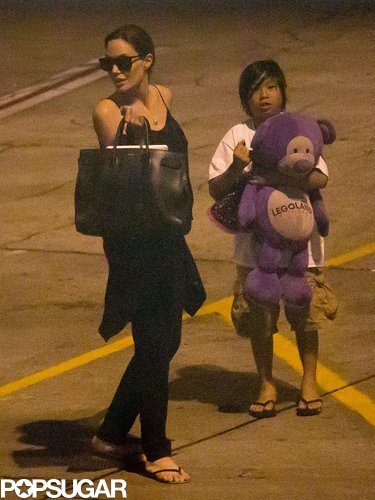 Angelina Jolie had Pax as her travel companion as they arrived back in LA after a trip to Hawaii.
Angelina Jolie had Pax as her travel companion as they arrived back in LA after a trip to Hawaii.