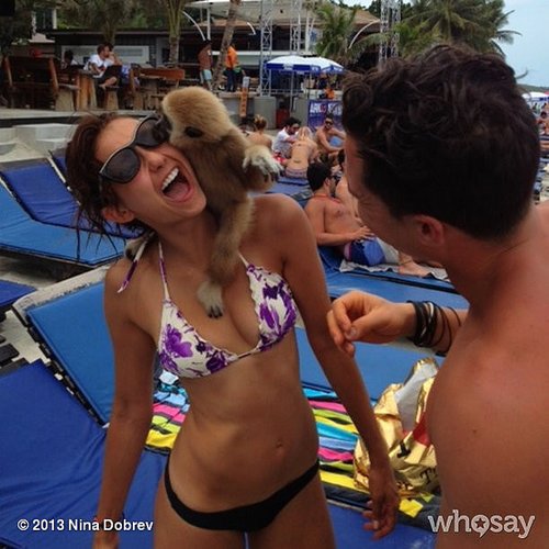 Nina Dobrev made a new furry friend.
Source: Nina Dobrev on WhoSay
Nina Dobrev made a new furry friend.
Source: Nina Dobrev on WhoSay