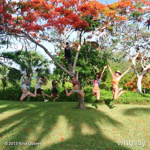 Nina Dobrev and her friends practiced for the next installment of High School Musical.
Source: Nina Dobrev on WhoSay
Nina Dobrev and her friends practiced for the next installment of High School Musical.
Source: Nina Dobrev on WhoSay