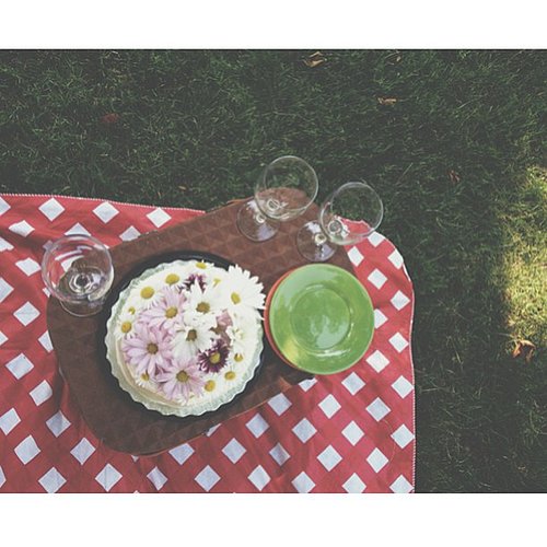 Have a Picnic Have a Picnic