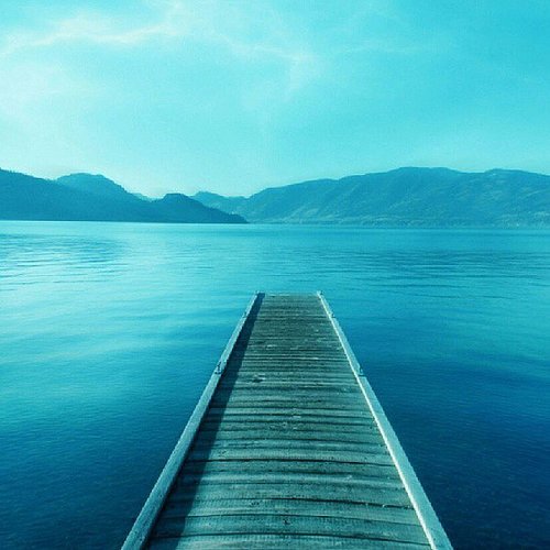 Sunbathe on a Dock . . . and Then Jump In! Sunbathe on a Dock . . . and Then Jump In!