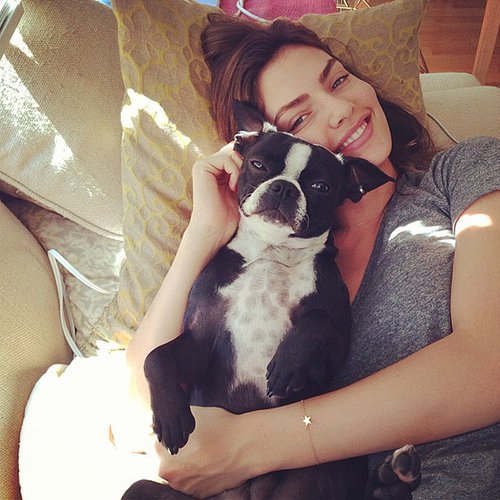 Jake Gyllenhaal's girlfriend, Sports Illustrated model Alyssa Miller, posts lots of adorable photos of her dog Charlie on Instagram.
Source: Instagram user luvalyssamiller
Jake Gyllenhaal's girlfriend, Sports Illustrated model Alyssa Miller, posts lots of adorable photos of her dog Charlie on Instagram.
Source: Instagram user luvalyssamiller