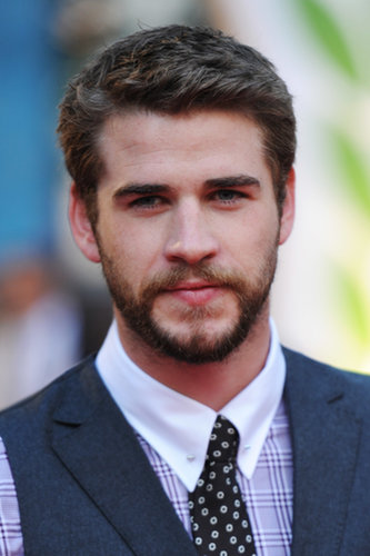 Liam Hemsworth smiled while posing on the red carpet.
Liam Hemsworth smiled while posing on the red carpet.