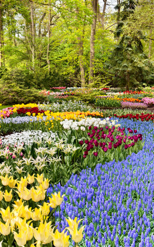 Seasonal Landscapes Seasonal Landscapes