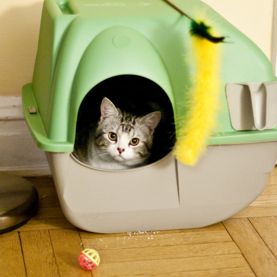 Kick the Scoop to the Curb! 5 Self-Cleaning Litter Boxes Kick the Scoop to the Curb! 5 Self-Cleaning Litter Boxes