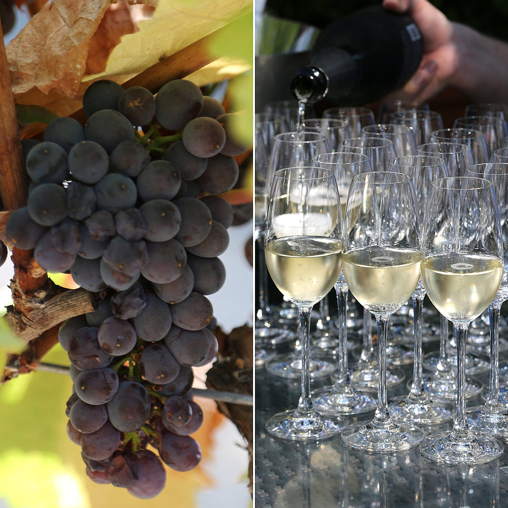 From Grape to Glass: How Sparkling Wine Is Made From Grape to Glass: How Sparkling Wine Is Made