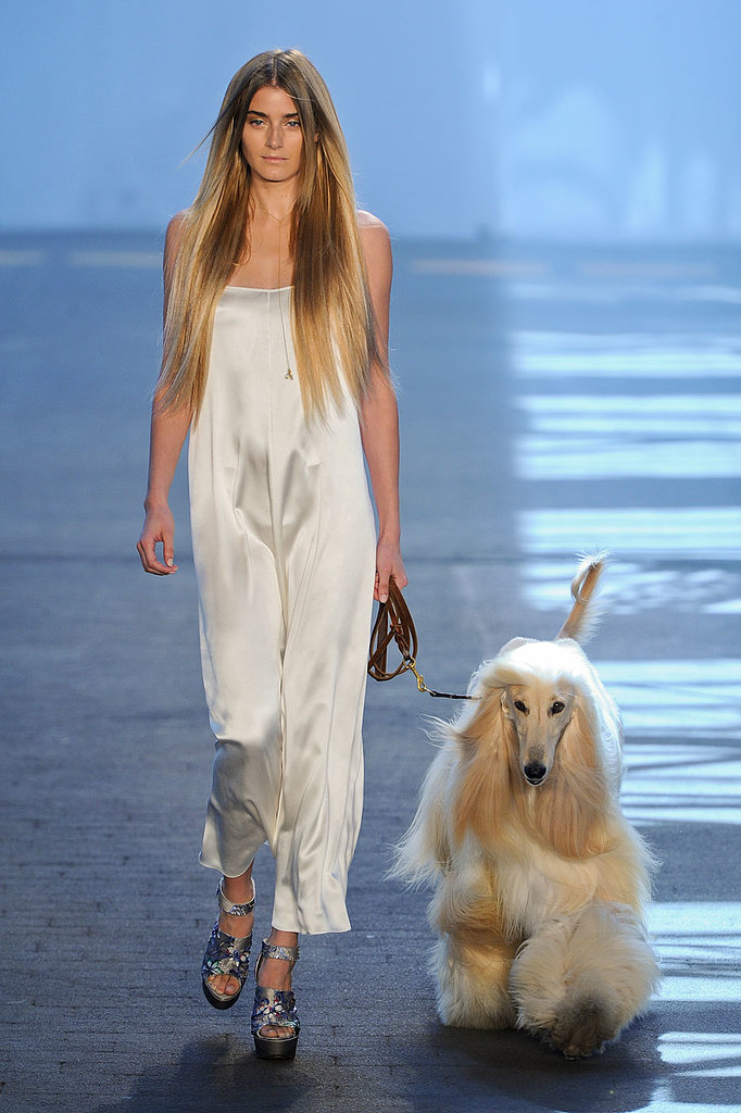 "I've worked with dogs before. The British Vogue that's out now has a couple of pink dogs in it that I had to dye. I used organic beet juice."
— Hairstylist James Pecis at Jen Kao
"I've worked with dogs before. The British Vogue that's out now has a couple of pink dogs in it that I had to dye. I used organic beet juice."
— Hairstylist James Pecis at Jen Kao