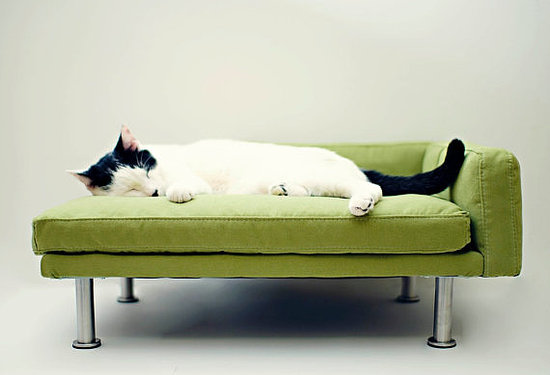 With memory foam and bolsters, this modern cat bed ($145) might just be superior to your own bed.
With memory foam and bolsters, this modern cat bed ($145) might just be superior to your own bed.