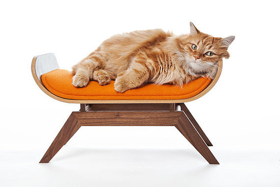 If the Eames' designed pet furniture, it would look like this modern cat bed (on sale for $274, originally $550).
If the Eames' designed pet furniture, it would look like this modern cat bed (on sale for $274, originally $550).