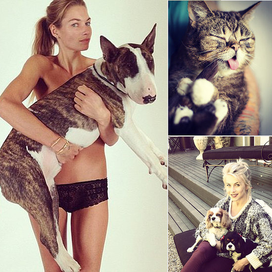Welcome Fall With Celebrities and Their Furry Friends Welcome Fall With Celebrities and Their Furry Friends