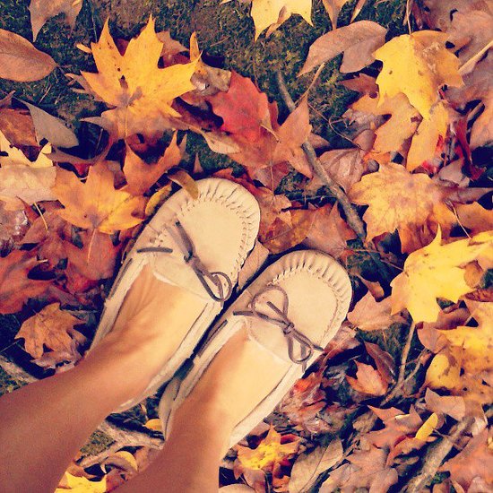 Comfy Shoes Comfy Shoes