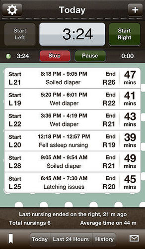 The Nursing Log The Nursing Log
