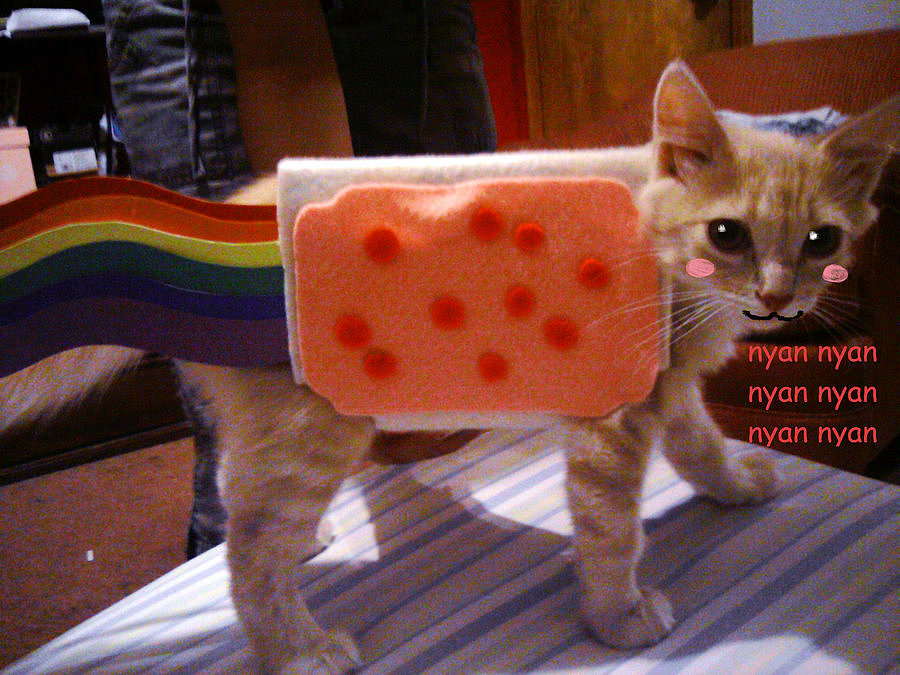 Nyan Cat Nyan Cat
