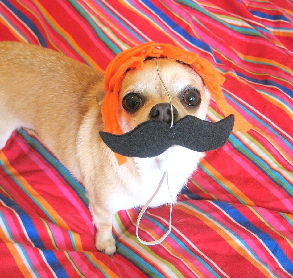 Detective Mustache Detective Mustache