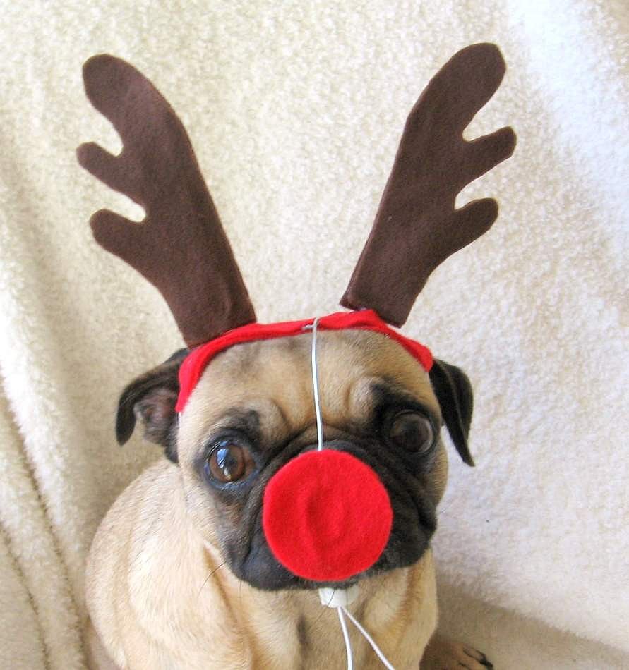 Rudolph the Red-Nosed Reindeer Rudolph the Red-Nosed Reindeer