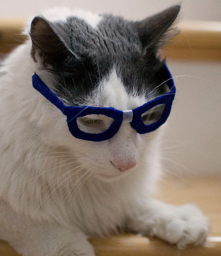 Nerd Nerd