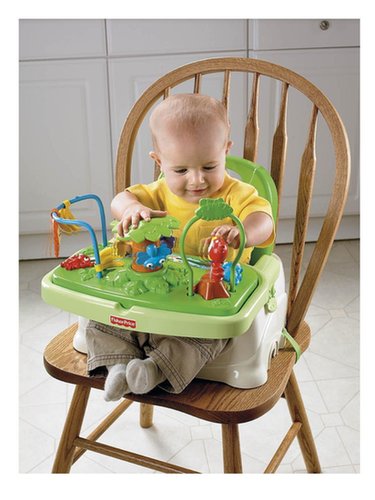 Fisher-Price Healthy Care Booster Seat Fisher-Price Healthy Care Booster Seat