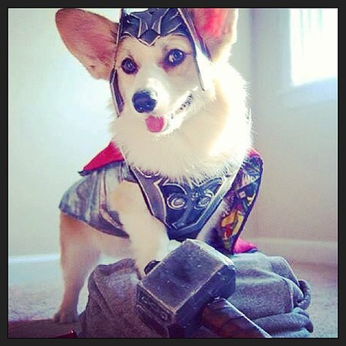 Thor Thor