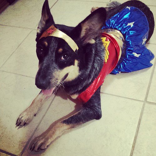 Wonder Woman Wonder Woman
