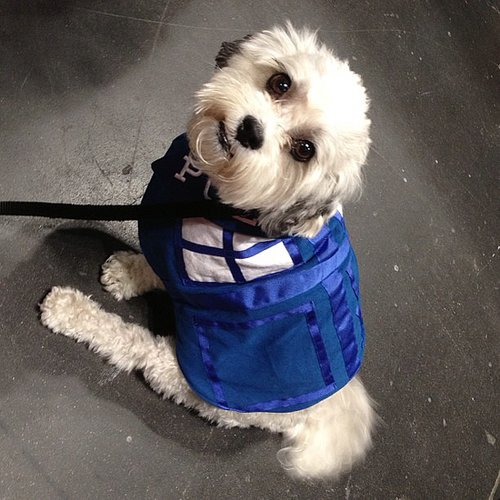 TARDIS TARDIS