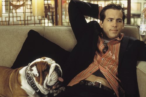 Van Wilder, Van Wilder Van Wilder, Van Wilder