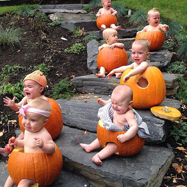 When the pumpkin picture opp you envisioned turns into a cry fest with seven babies.
Source: Instagram user jillmawer
When the pumpkin picture opp you envisioned turns into a cry fest with seven babies.
Source: Instagram user jillmawer