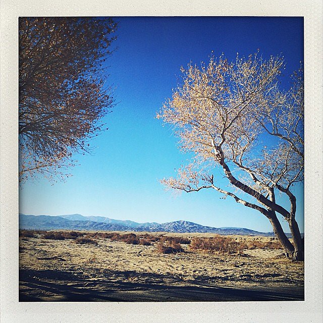 Alessandra Ambrosio shared a snap of her view with the caption "Good morning #desert."
Source: Instagram user alessandraambrosio
Alessandra Ambrosio shared a snap of her view with the caption "Good morning #desert."
Source: Instagram user alessandraambrosio