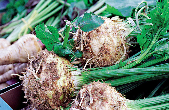 5 Winter Produce Items and What to Cook With Them 5 Winter Produce Items and What to Cook With Them