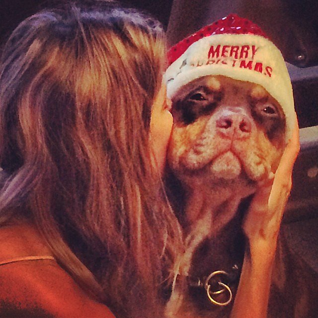 Gisele Bündchen snuggled with her pup on Christmas Eve.
Source: Instagram user giseleofficial
Gisele Bündchen snuggled with her pup on Christmas Eve.
Source: Instagram user giseleofficial