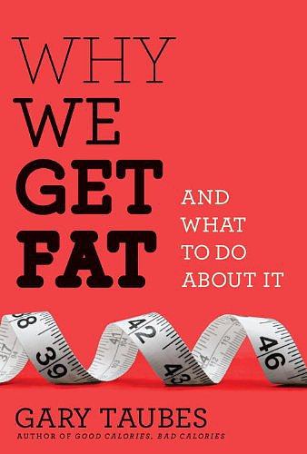 Why We Get Fat Why We Get Fat