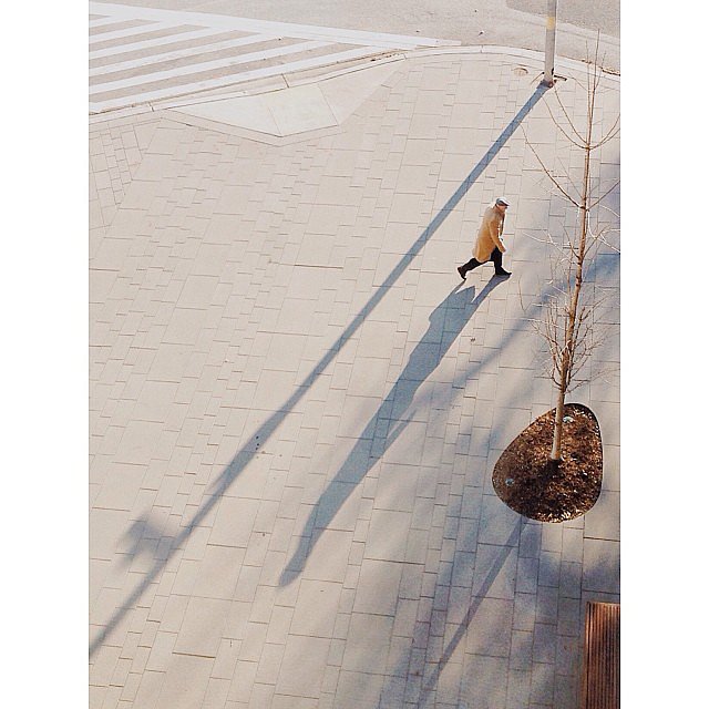 Shadows Shadows