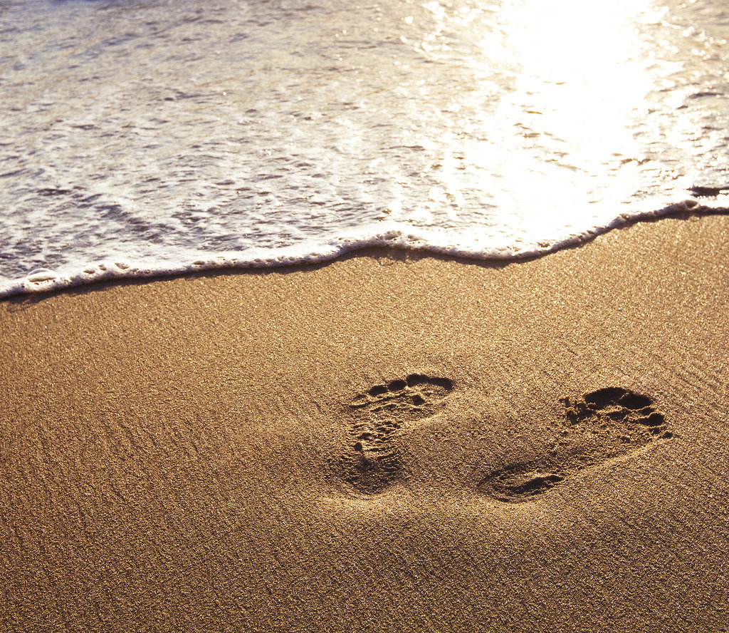 Leave Your Mark in This World Leave Your Mark in This World