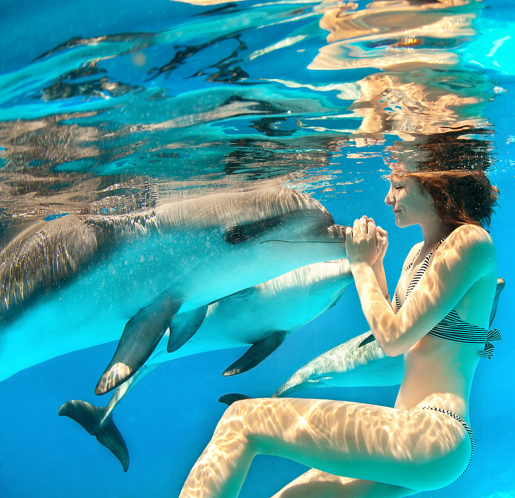Swim With Dolphins Swim With Dolphins