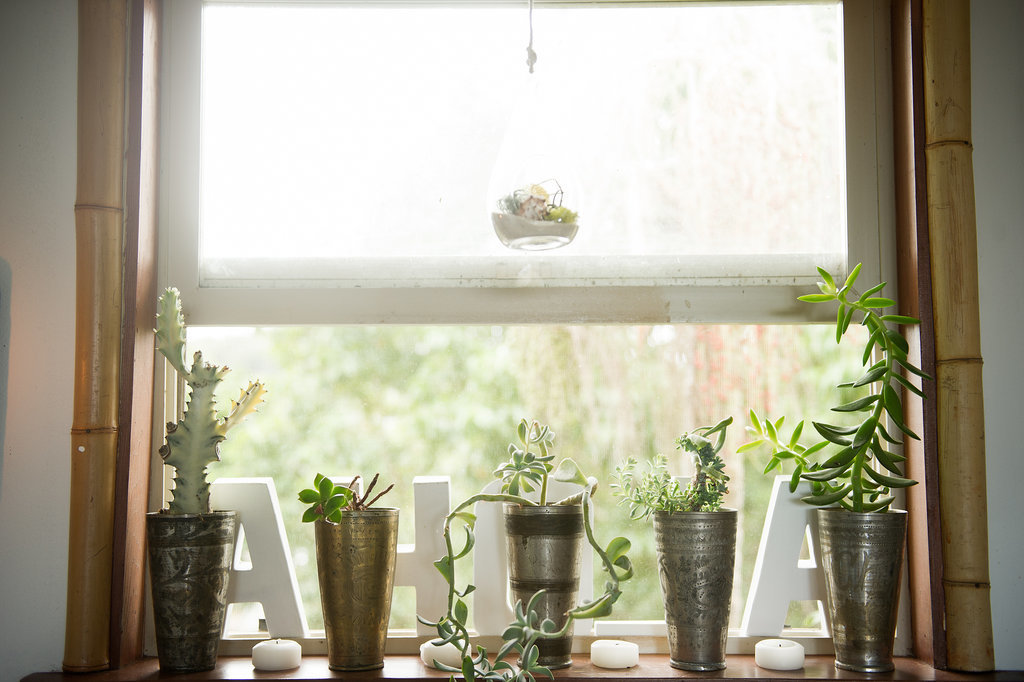 Almost no part of her home is untouched! Potted succulents dress up the windowsill, and bamboo moldings add a tropical vibe.
Photo by Ashley Camper
Almost no part of her home is untouched! Potted succulents dress up the windowsill, and bamboo moldings add a tropical vibe.
Photo by Ashley Camper