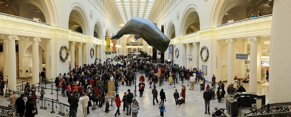 The Field Museum — Chicago The Field Museum — Chicago