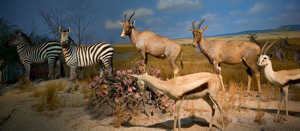 Milwaukee Public Museum — Milwaukee, WI Milwaukee Public Museum — Milwaukee, WI