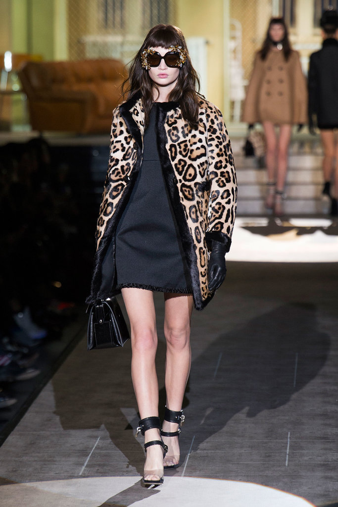 Ladylike Leopard Ladylike Leopard