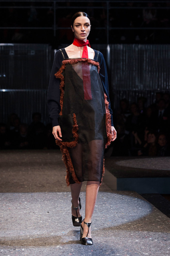 Fur Accents Fur Accents