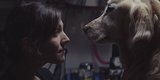 Tear-Jerking Chevy Commercial Will Strike A Chord With Every Single Dog Lover Tear-Jerking Chevy Commercial Will Strike A Chord With Every Single Dog Lover