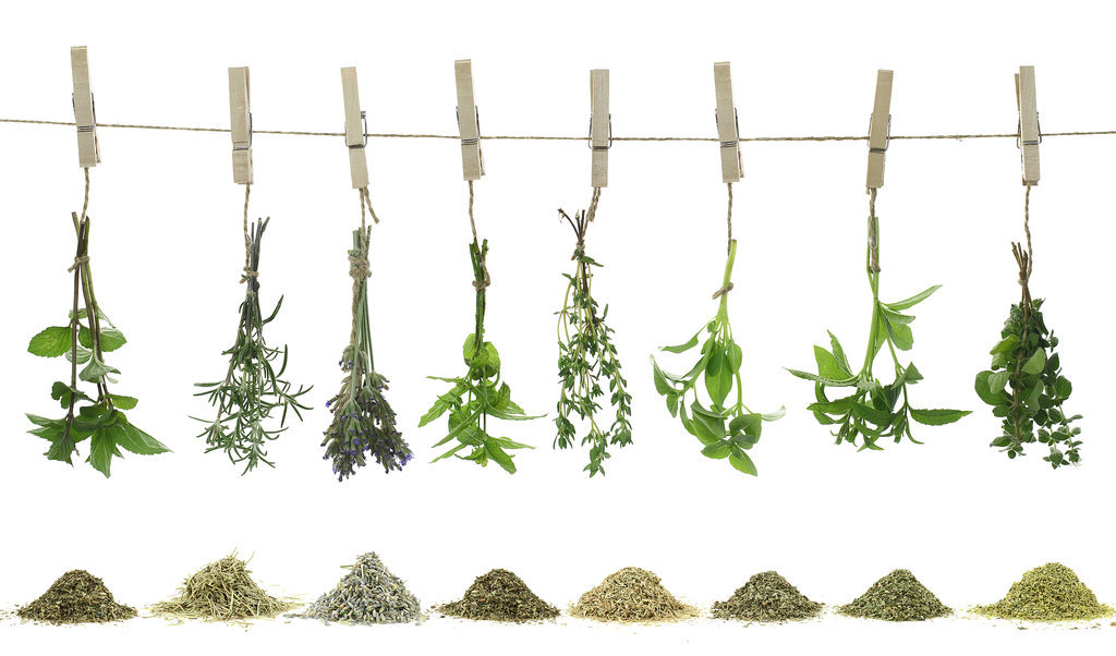 Leftover Fresh Herbs Leftover Fresh Herbs
