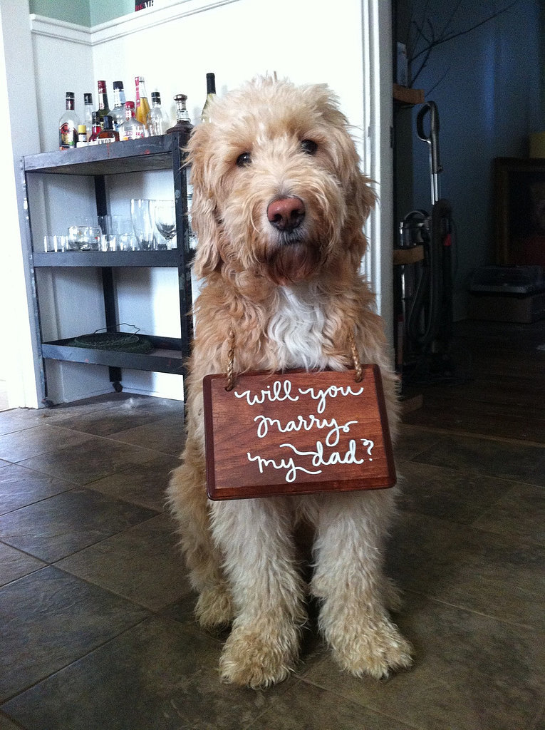 Cutest Messenger Ever Cutest Messenger Ever