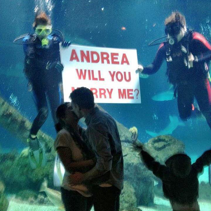 Scuba Sweetness Scuba Sweetness