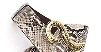 Wild Belts Wild Belts