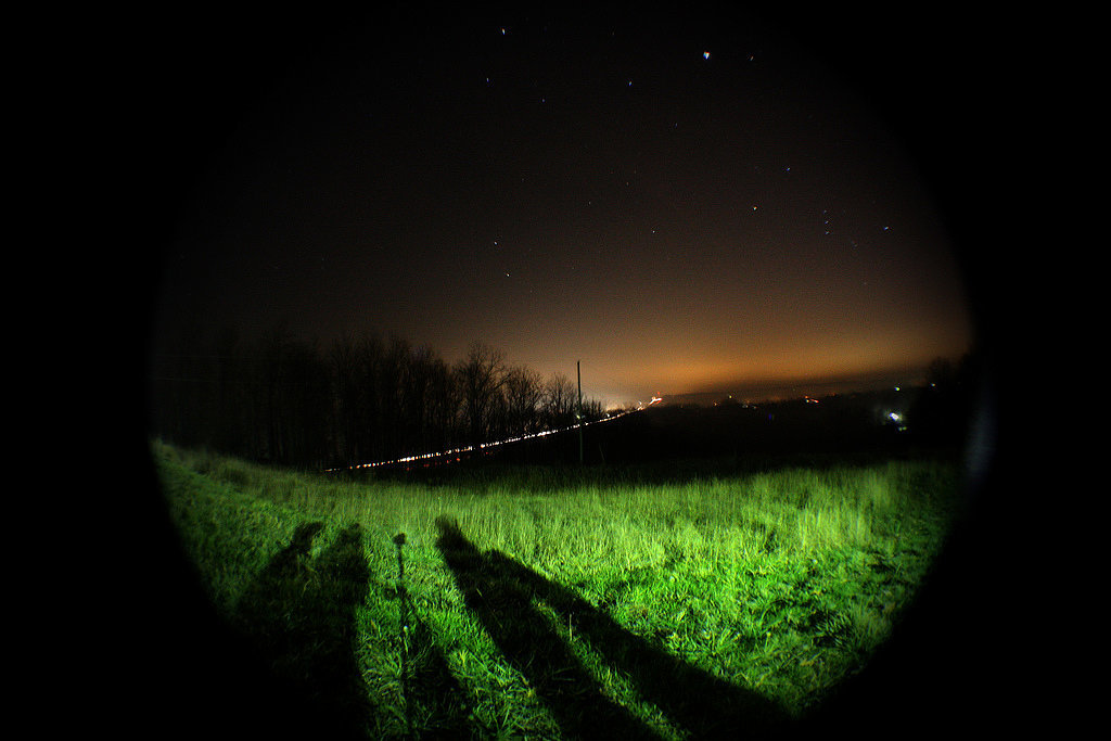 Gaze at the Stars Gaze at the Stars