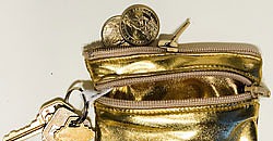 Simply Fab: American Apparel Lamé Coin Purse Simply Fab: American Apparel Lamé Coin Purse