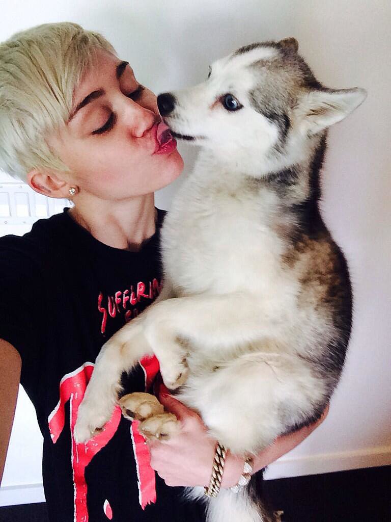 Floyd passed away while Miley was on tour.
Source: Twitter user MileyCyrus Floyd passed away while Miley was on tour.
Source: Twitter user MileyCyrus