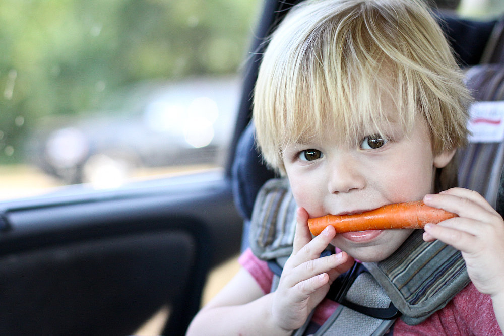 When a Love For Veggies Is Declared When a Love For Veggies Is Declared