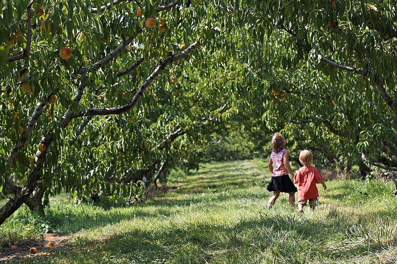 When Your Kids Play Well Together When Your Kids Play Well Together