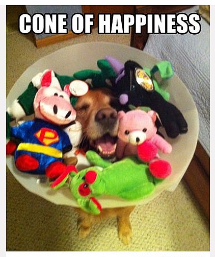 Cone of Happiness Cone of Happiness